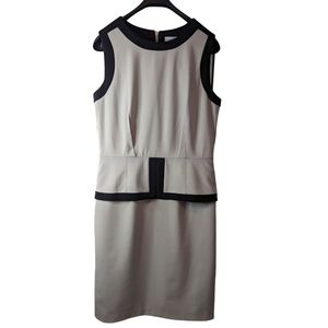Calvin Klein career sz8 Tan & Black Dress